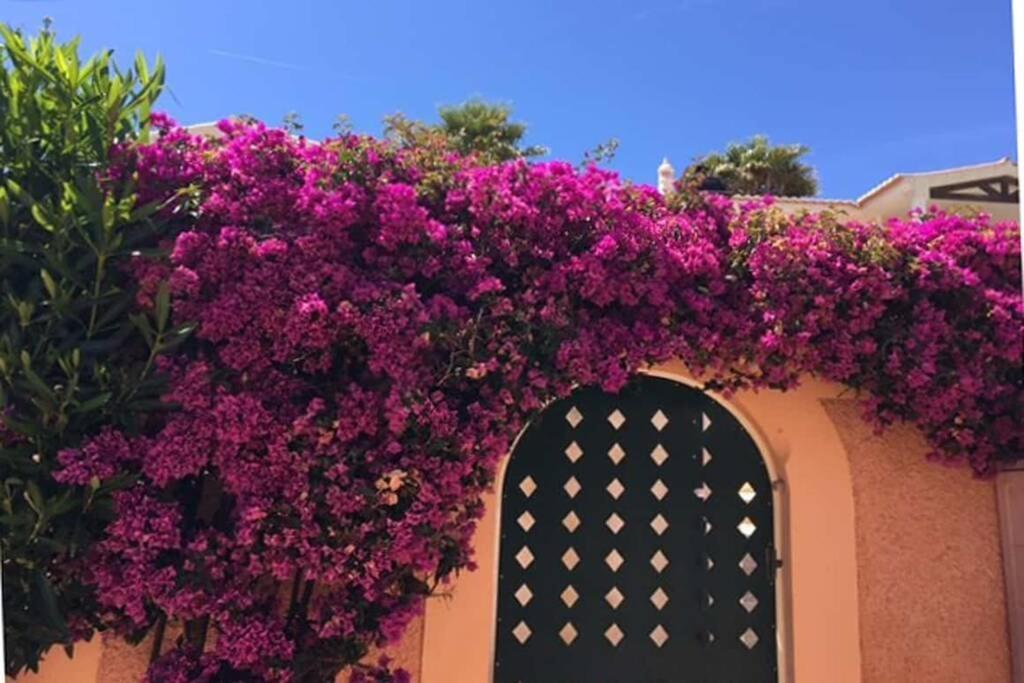 Vila Bela Nova Acacias 22 Senhora da Luz 외부 사진